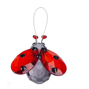 Acrylic Love Ladybug Figurine Ornament Decorative Mirror,Home Decor Mirror