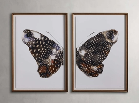 Aile Framed Print (Set of 2) Wall Art,canvas wall art set