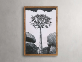 Aloidendron Framed Print Wall Art,canvas wall art set