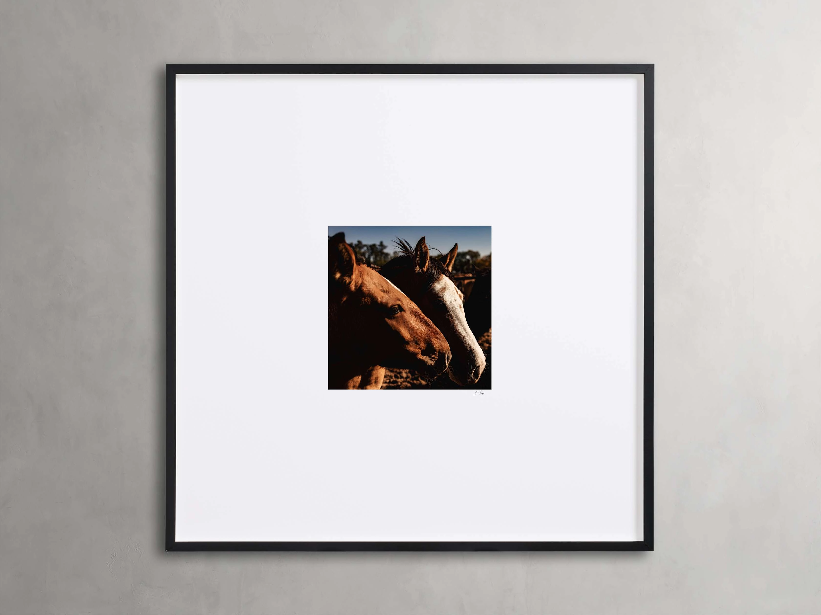 Argentina Horses  I Framed Print Wall Art,canvas wall art set