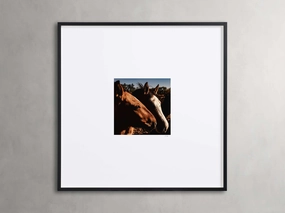 Argentina Horses  I Framed Print Wall Art,canvas wall art set