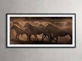 Argentina Horses II Framed Print Wall Art,canvas wall art set