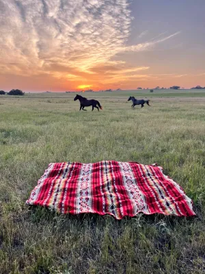 Artisan Southwestern Blanket - Cotacachi Fire luxury bedding, duvet cover