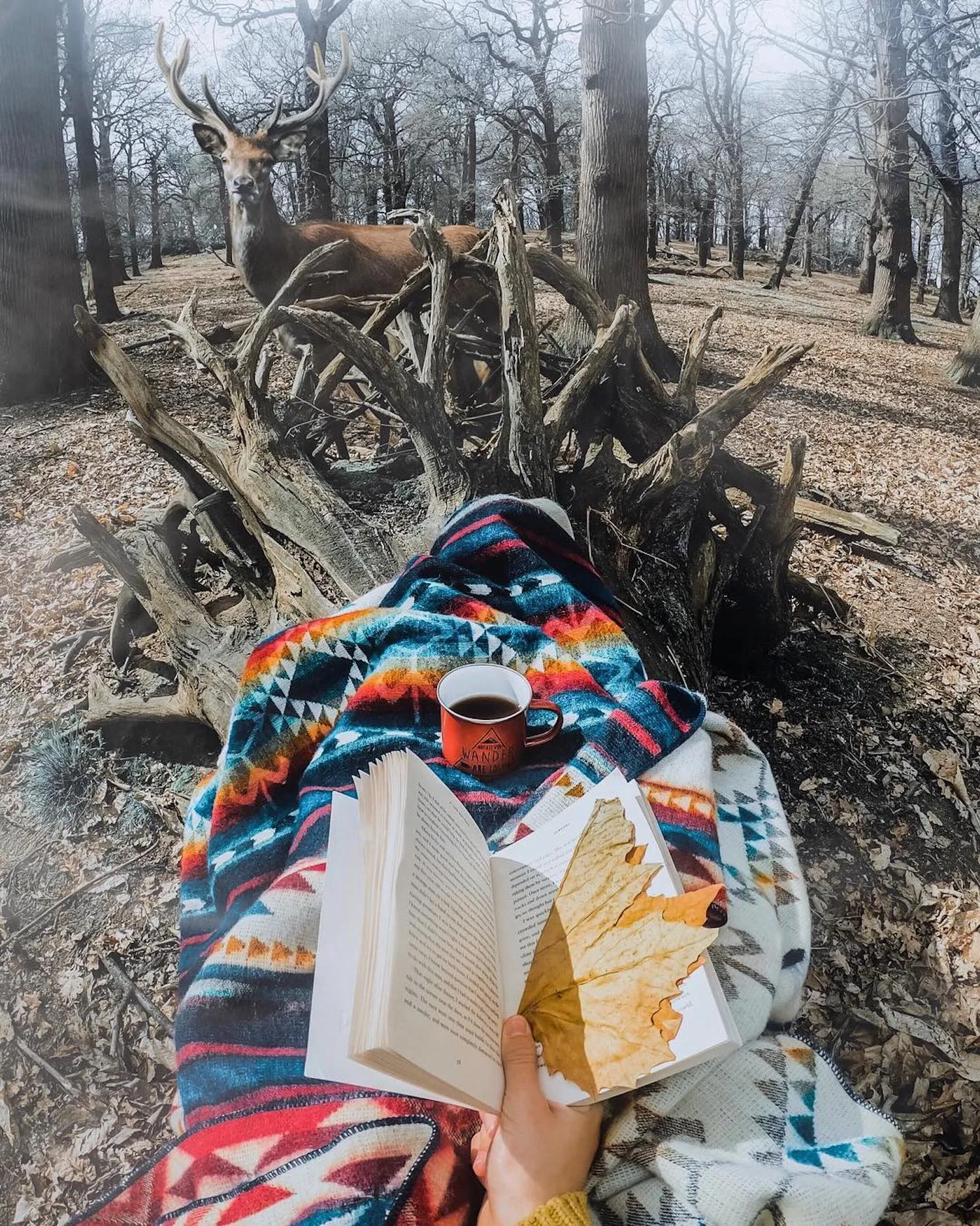 Artisan Southwestern Blanket - Cotacachi Water