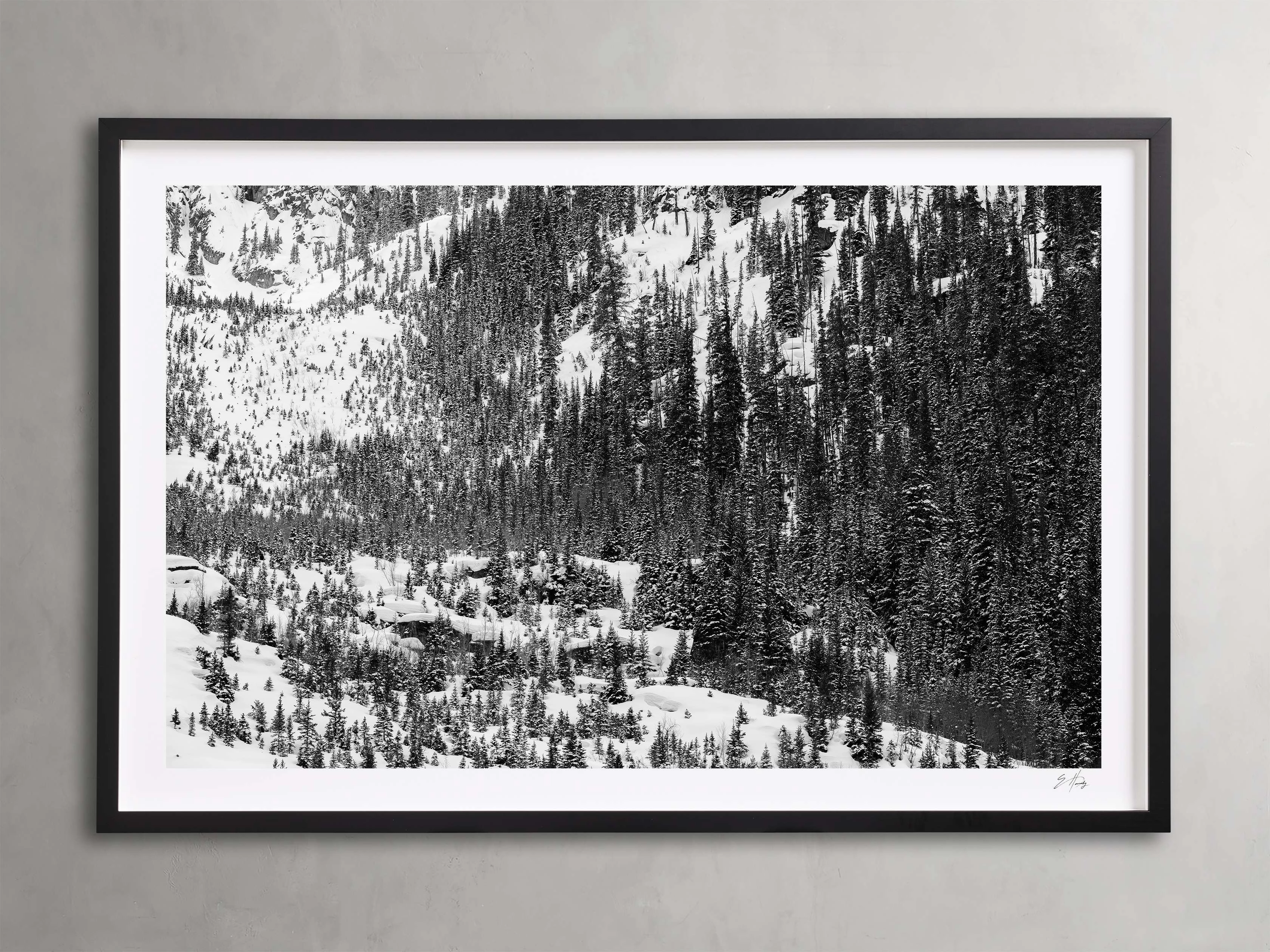 Aspen Allure I Framed Print Wall Art,canvas wall art set
