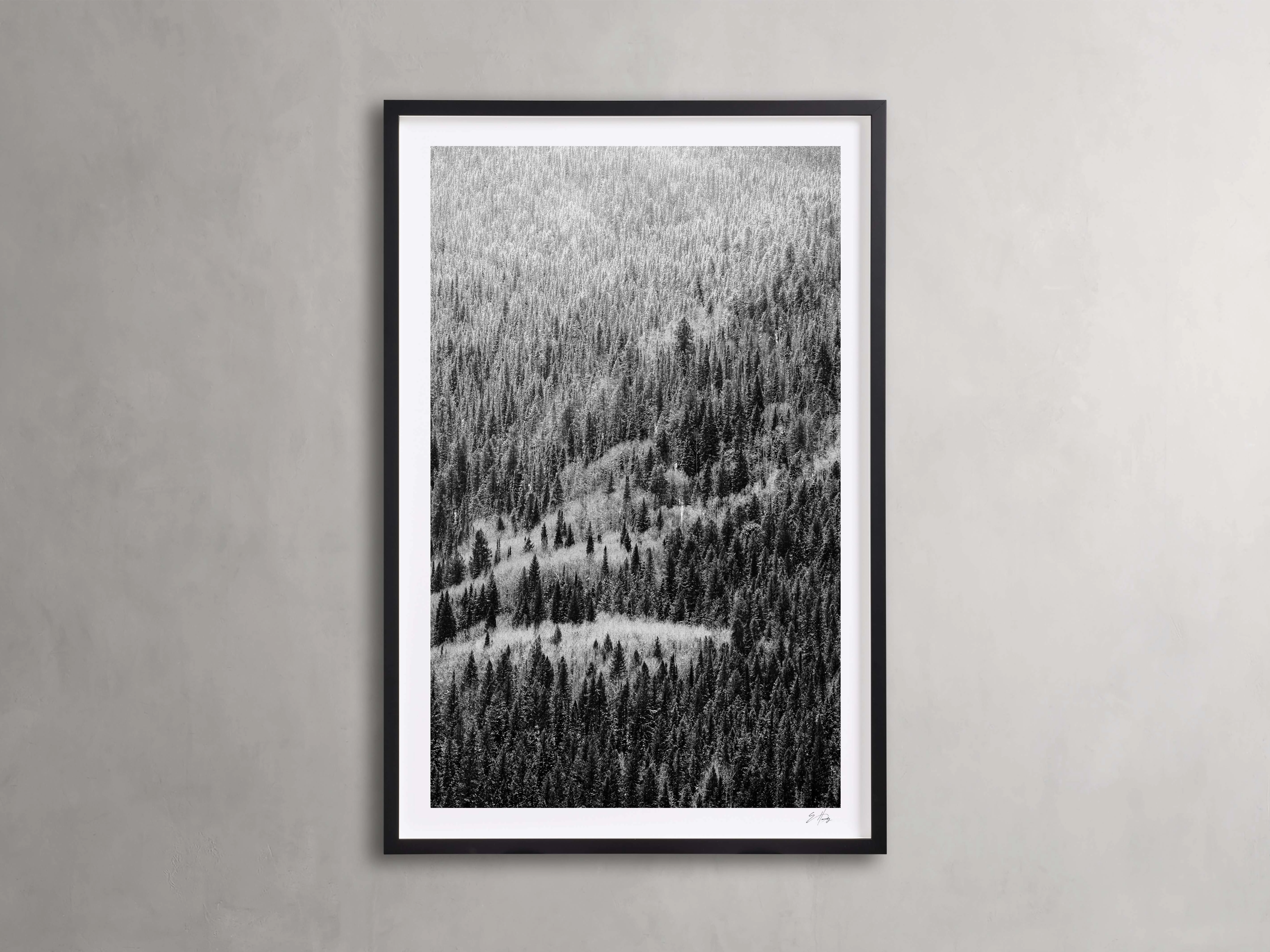 Aspen Allure II Framed Print Wall Art,canvas wall art set