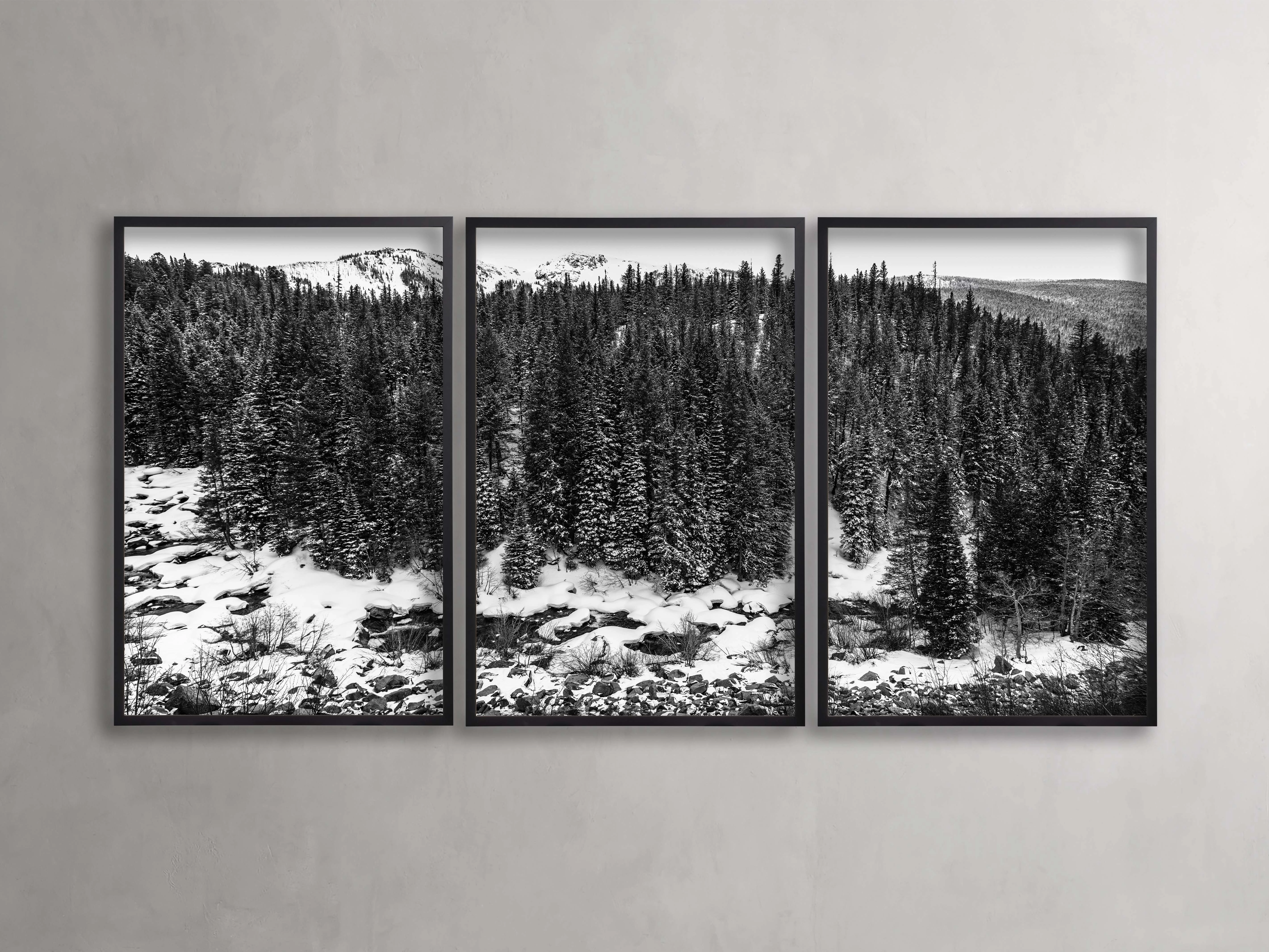 Aspen Allure III Framed Print (Set of 3) Wall Art,canvas wall art set