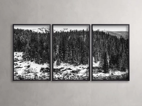 Aspen Allure III Framed Print (Set of 3) Wall Art,canvas wall art set
