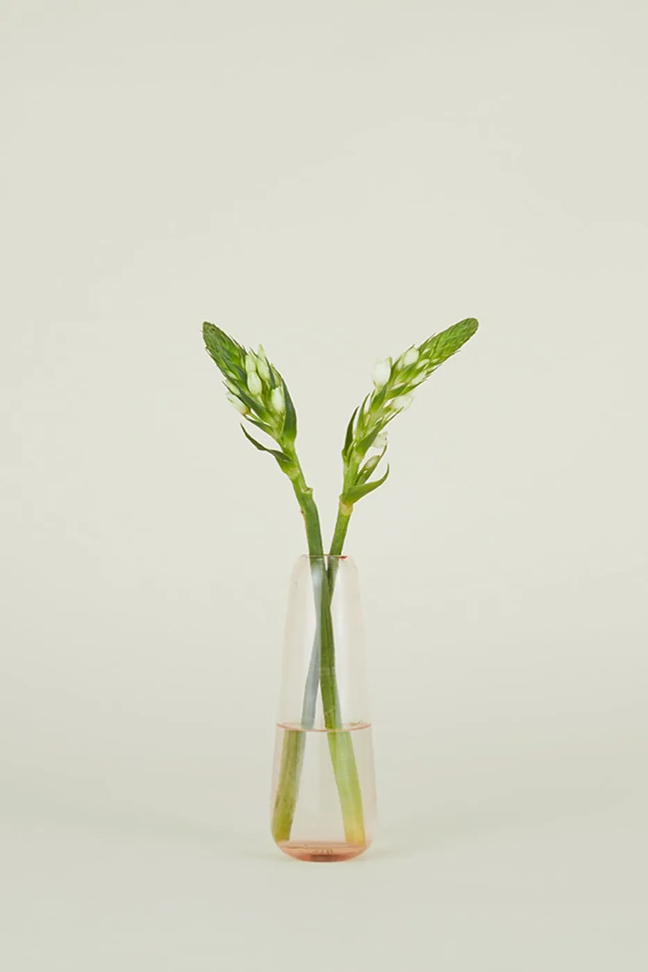Aurora Slim Drop Vase Blush