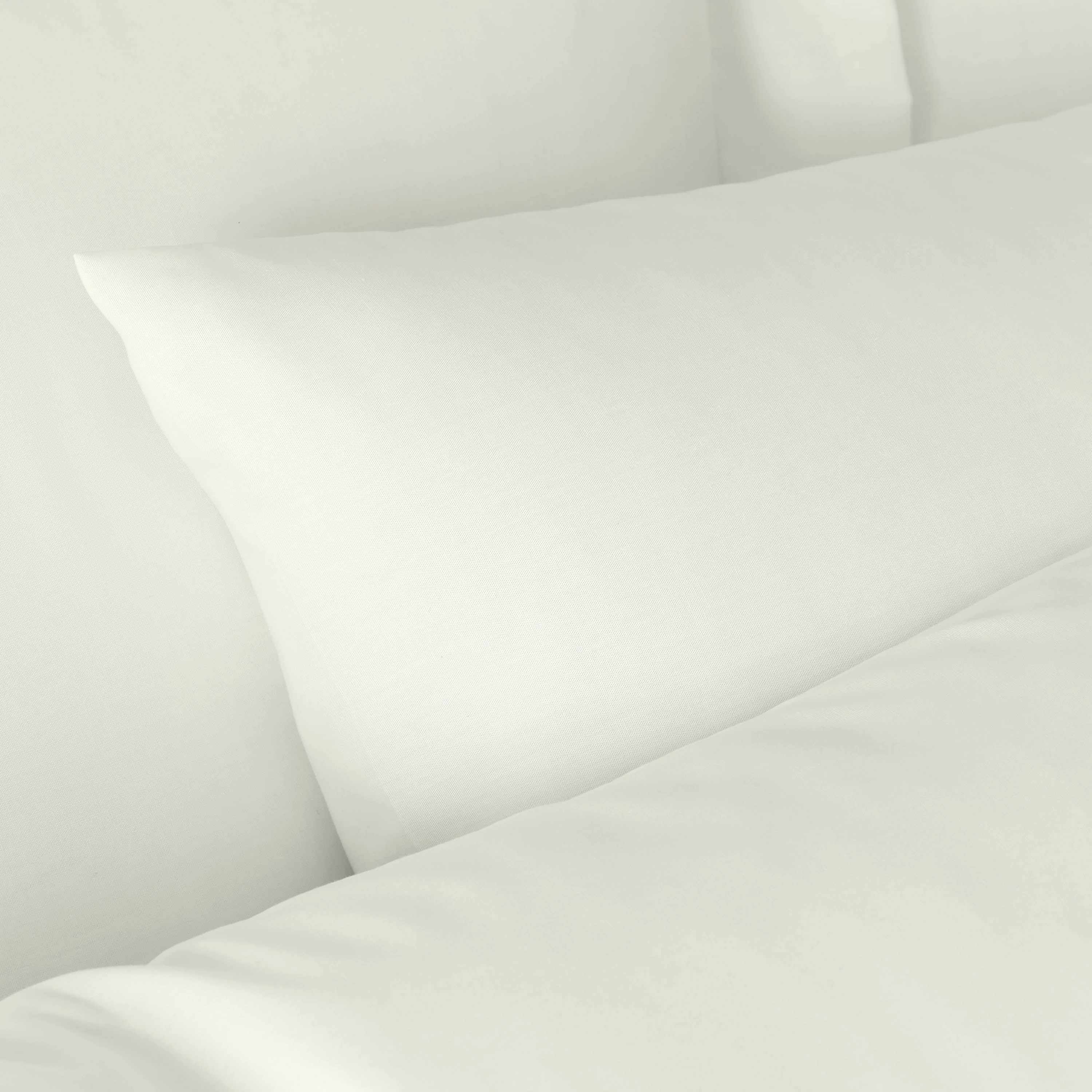 Bianca Fine Linens 180 Thread Count Egyptian Cotton Pack of 2 Pillow cases Cream