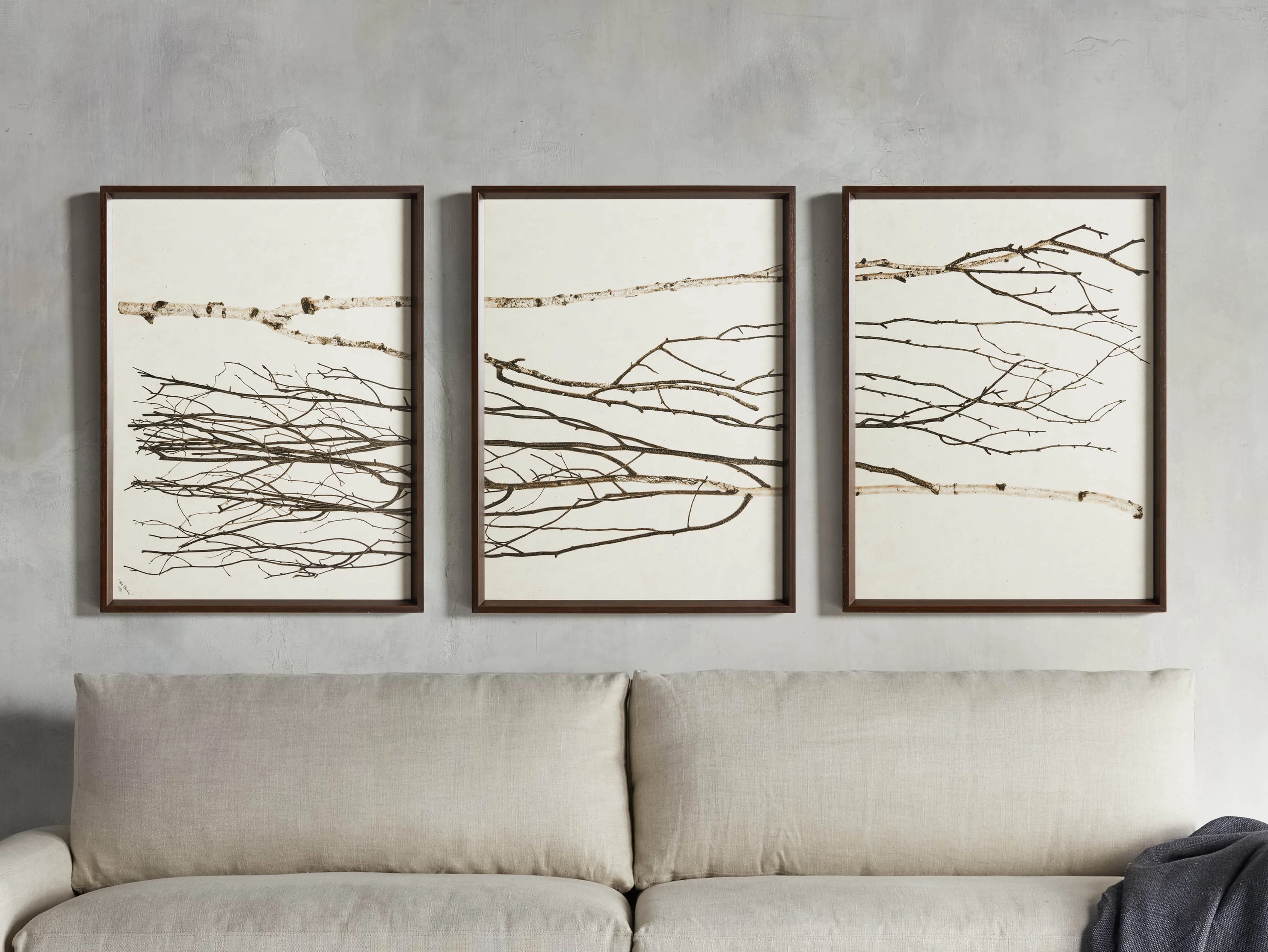 Birch Framed Print (Set of 3) Wall Art,canvas wall art set