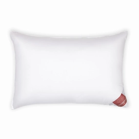Brinkhaus Luxury Twin Pillows Pillows,bed sleeping pillows