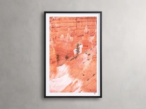 Bryce Canyon III Framed Print Wall Art,canvas wall art set