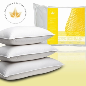 Canadian Down & Feather Company Down Perfect White Feather & Down Pillow pillows,bed pillow,sleeping cushion