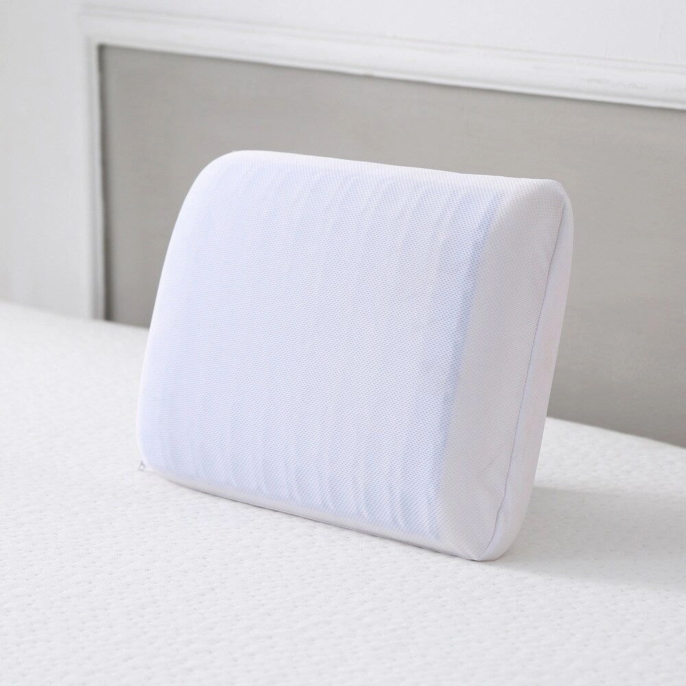 Classic Brands Destiny Reversible Gel and Memory Foam Travel Pillow