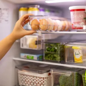 Clear Fridge Egg Organiser Tray Figurines,Decorative Ornaments