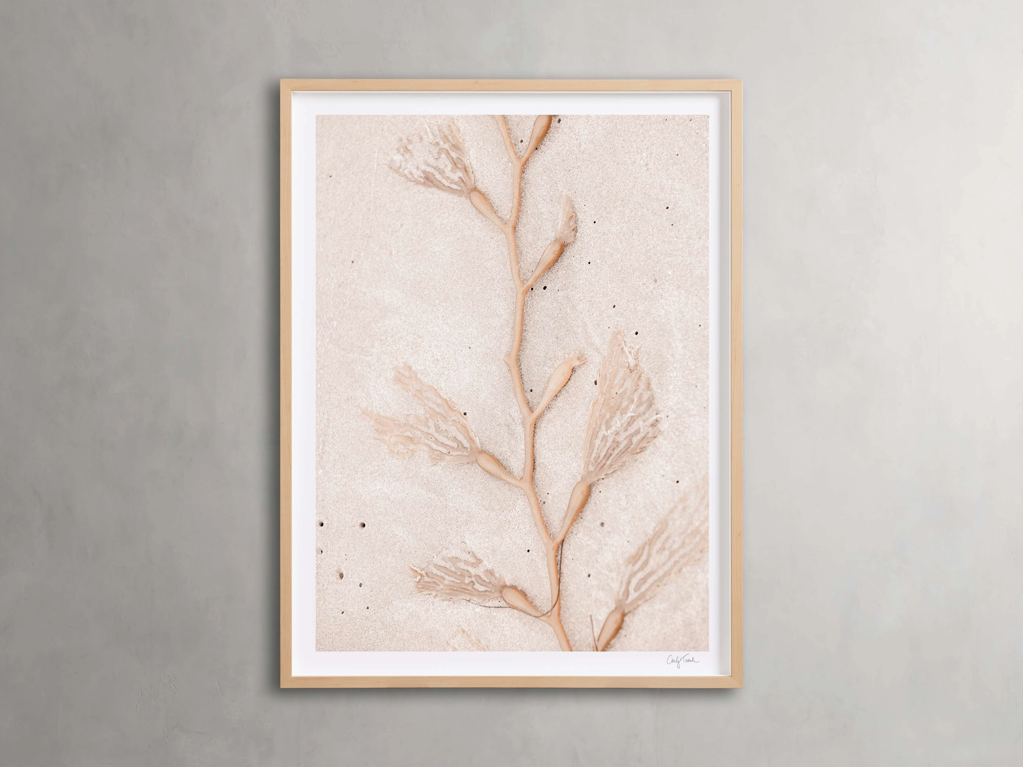 Coastal Radiance Framed Print Wall Art,canvas wall art set