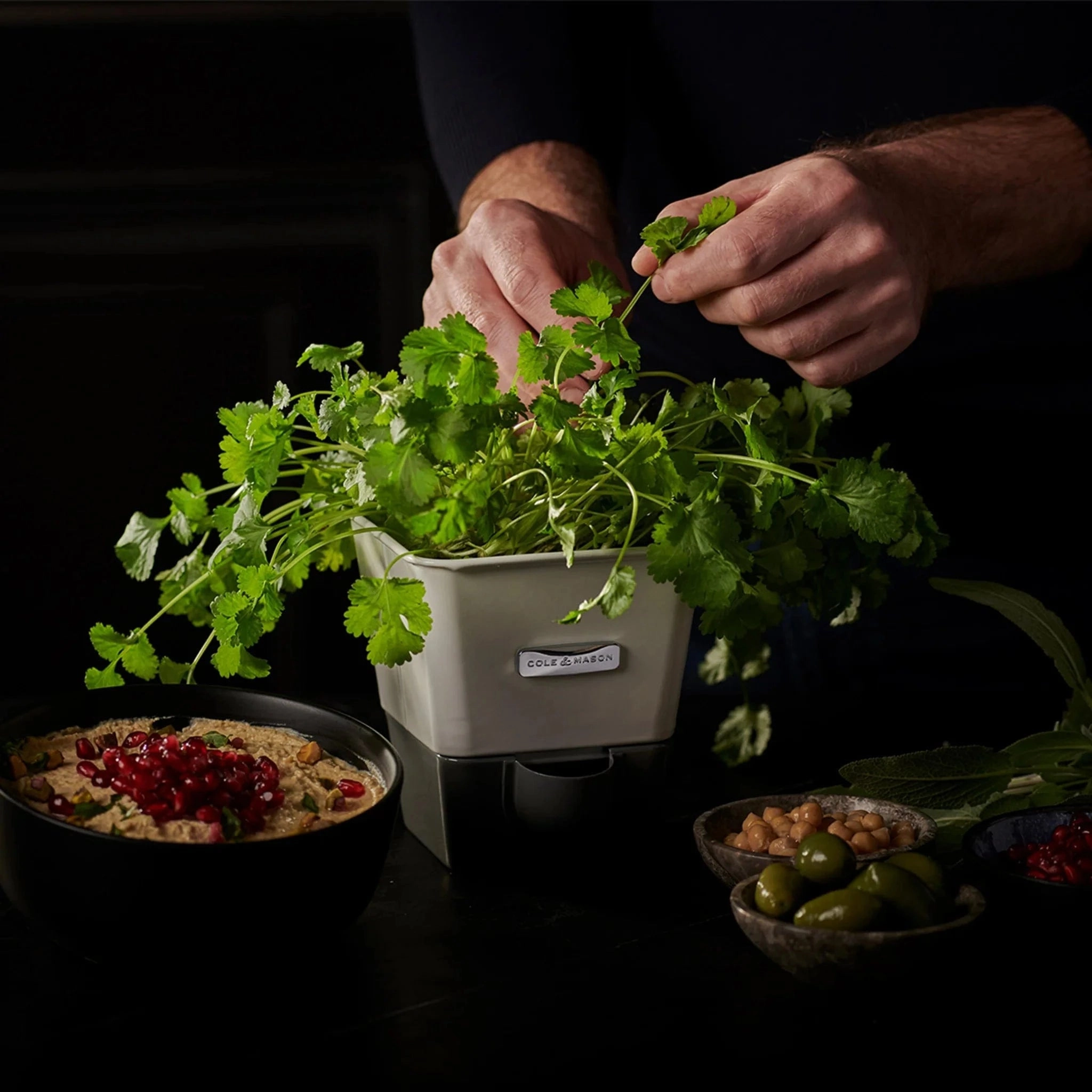 Cole & Mason Burwell Self-Watering Potted Herb Keeper