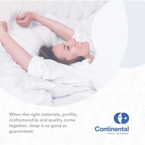 Continental Bedding - Siberian White Goose Down Pillow - 800 Fill Power pillows,bed pillow,sleeping cushion