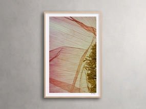 Cosmos Petals Framed Print Wall Art,canvas wall art set