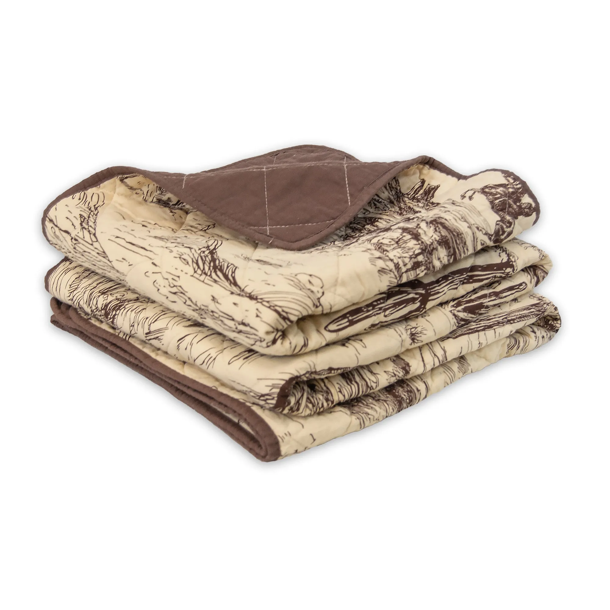 Desert Landscape Throw Blanket