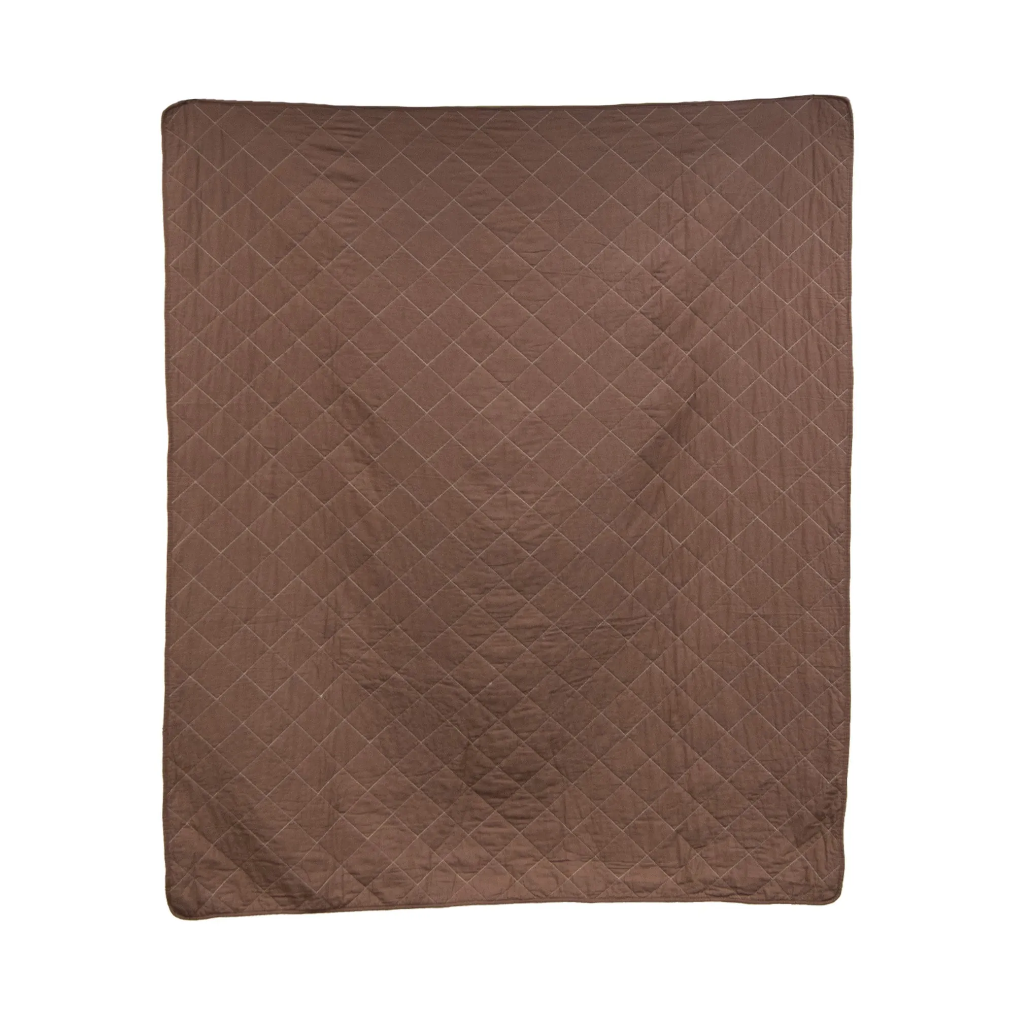 Desert Landscape Throw Blanket