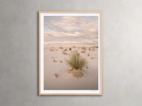 Desert Serenity Framed Print Wall Art,canvas wall art set