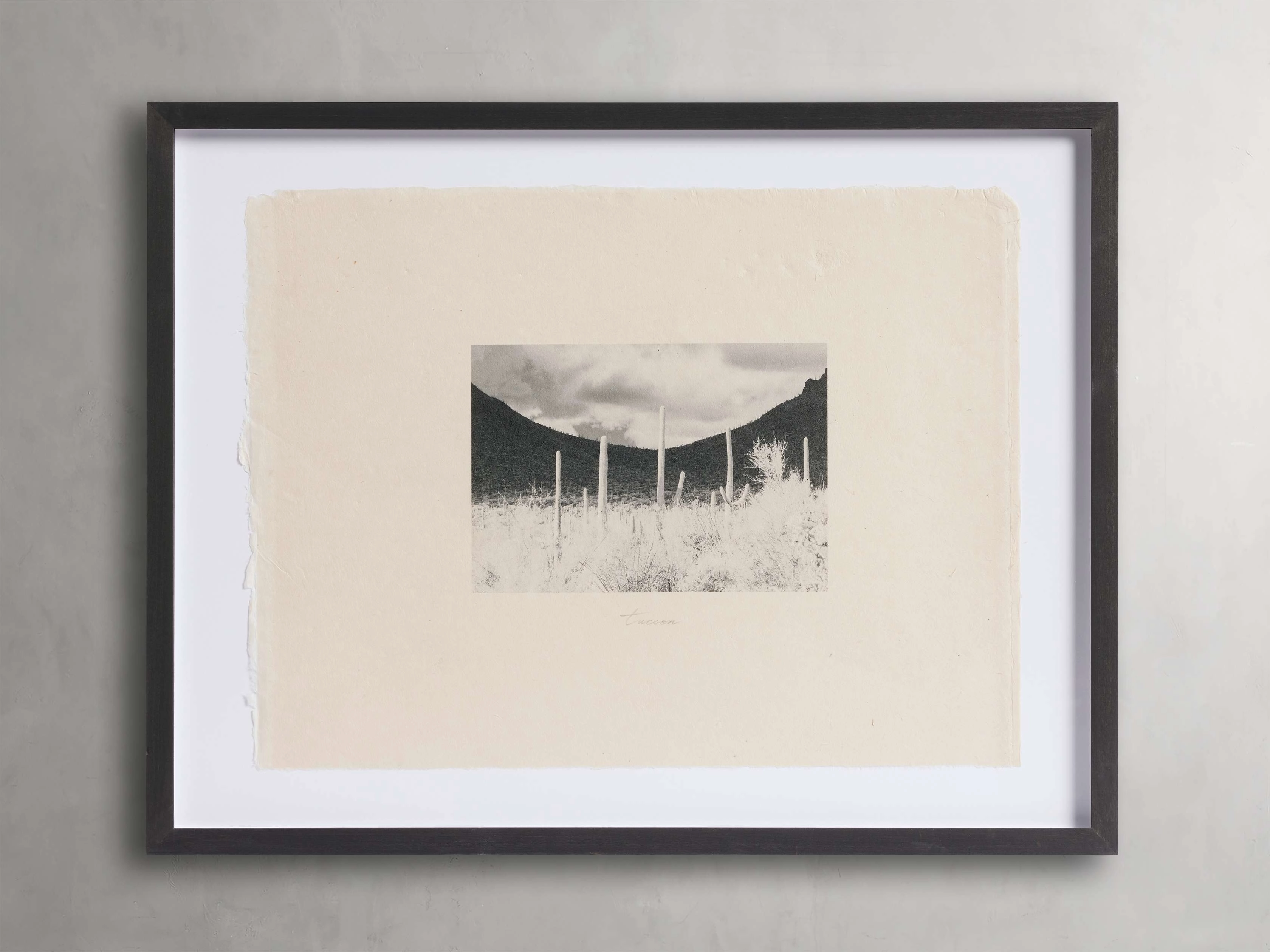 Desolate Flora Framed Print Wall Art,canvas wall art set