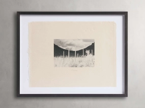 Desolate Flora Framed Print Wall Art,canvas wall art set