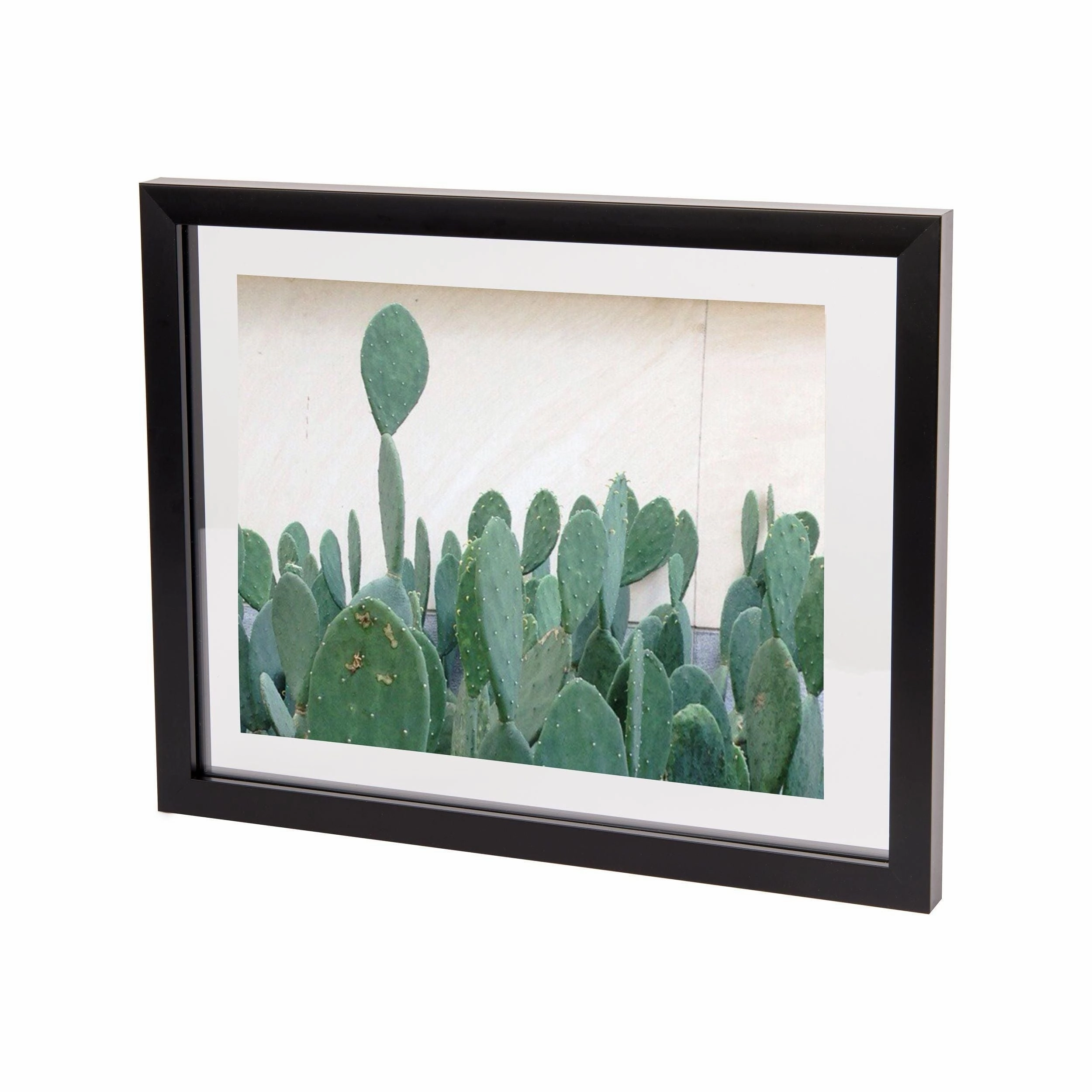 Document Picture Frame