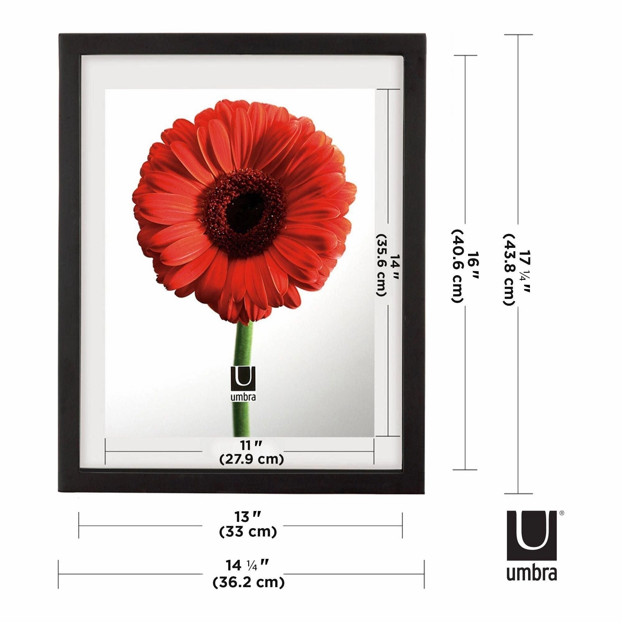Document Picture Frame