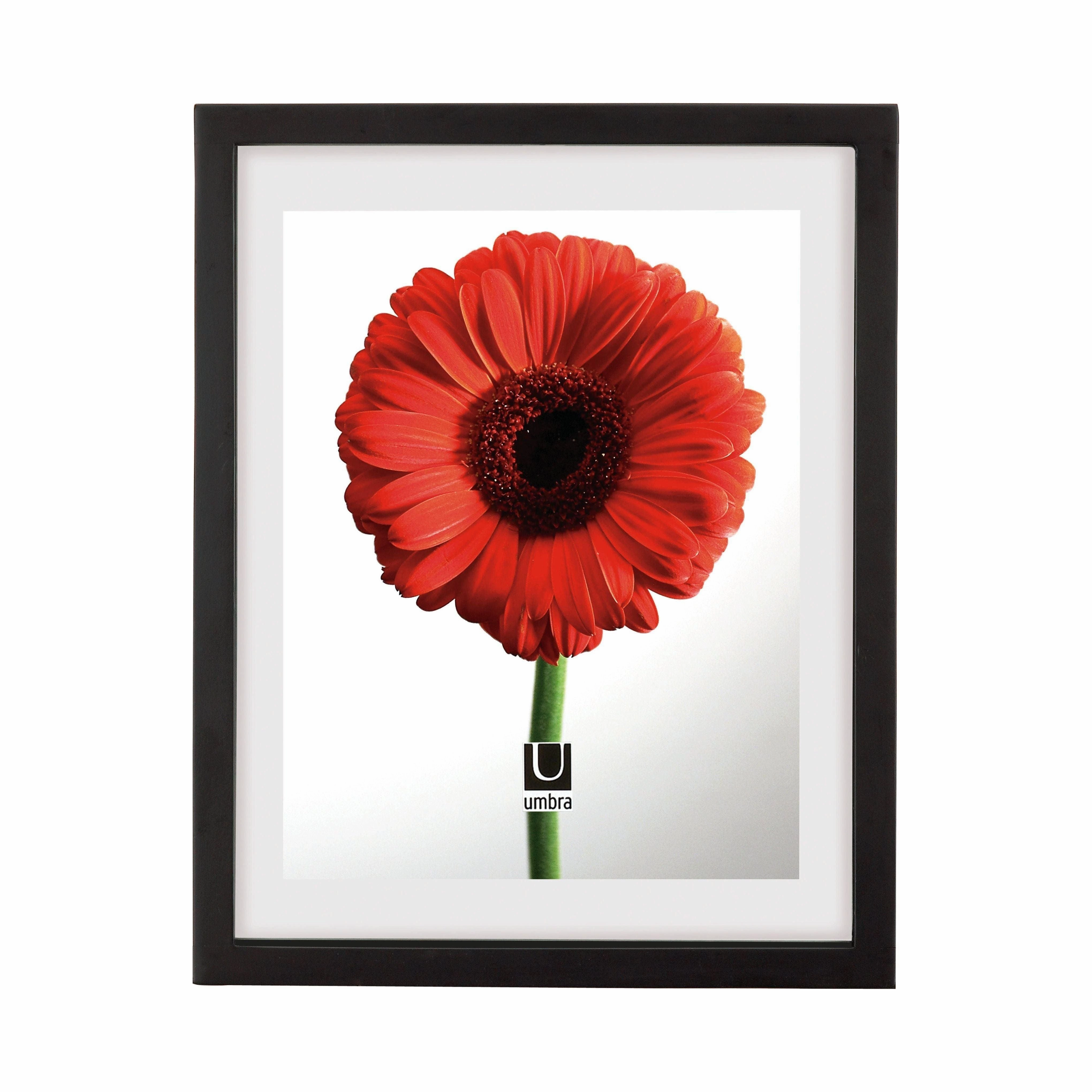 Document Picture Frame Photo Displays,photo frame collage wall