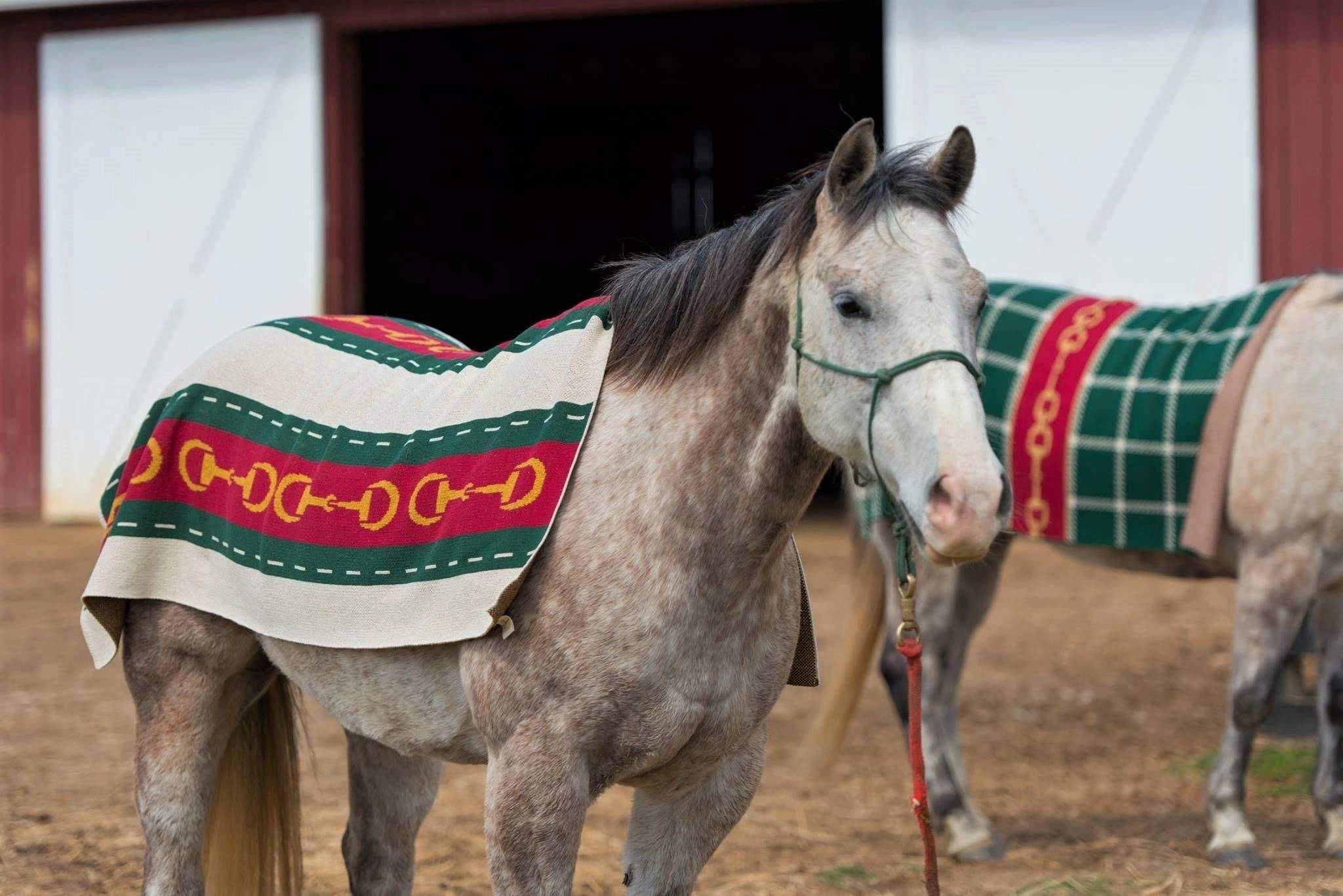 Eco Equine Striped Snaffle Woven Throw