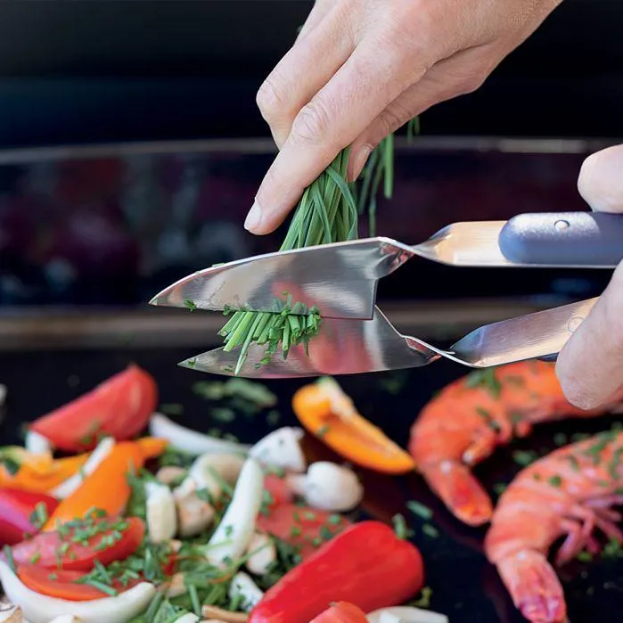 Eno Plancha Stainless Steel Kitchen Scissors CC8058