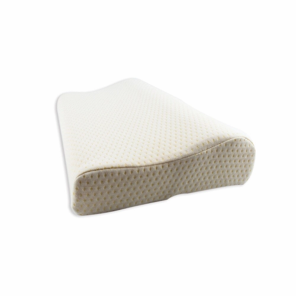 Euro Style Collection Ergonomic Premium Pillow with Memory Foam-Set of 2