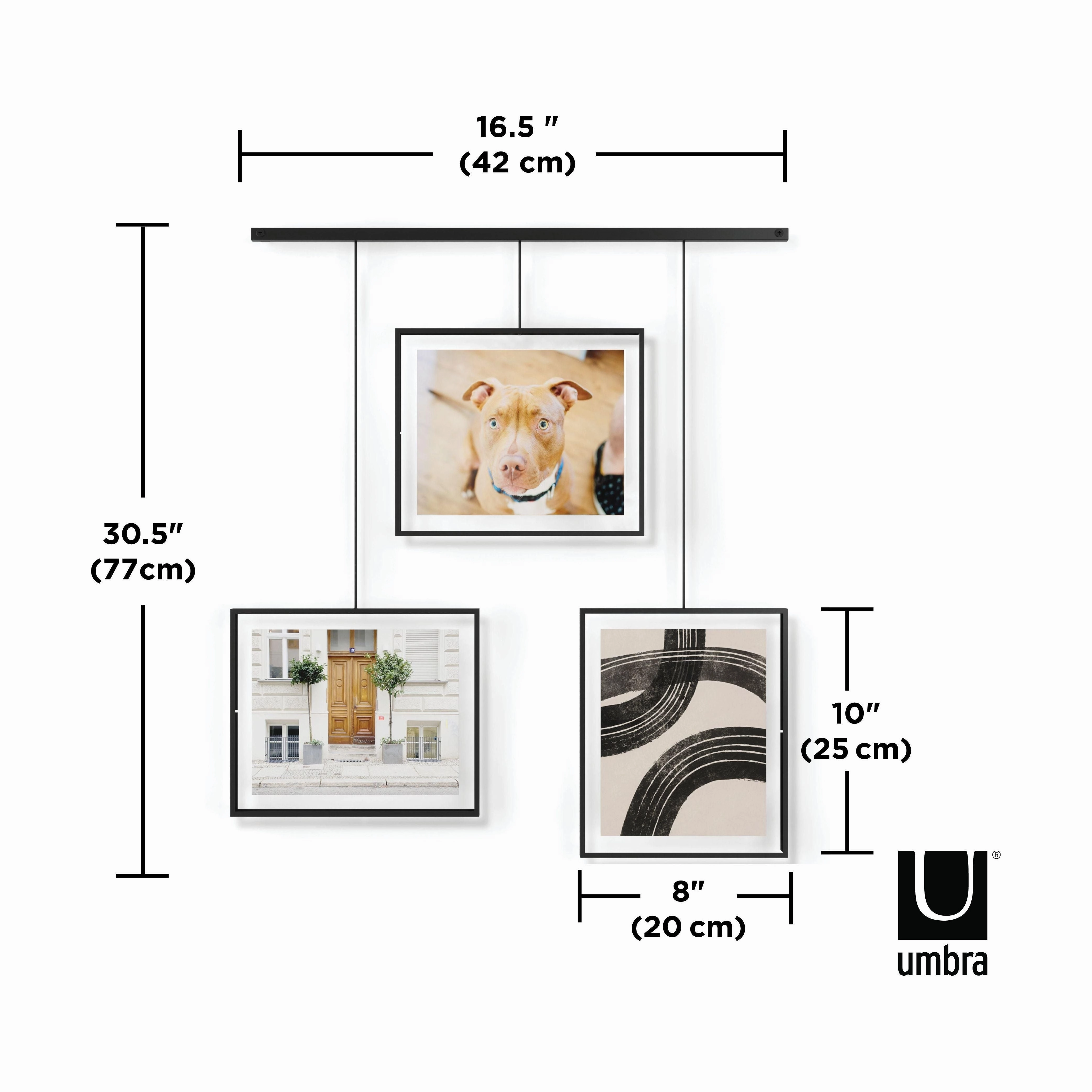 Exhibit 8x10 Picture Frames (Set of 3)