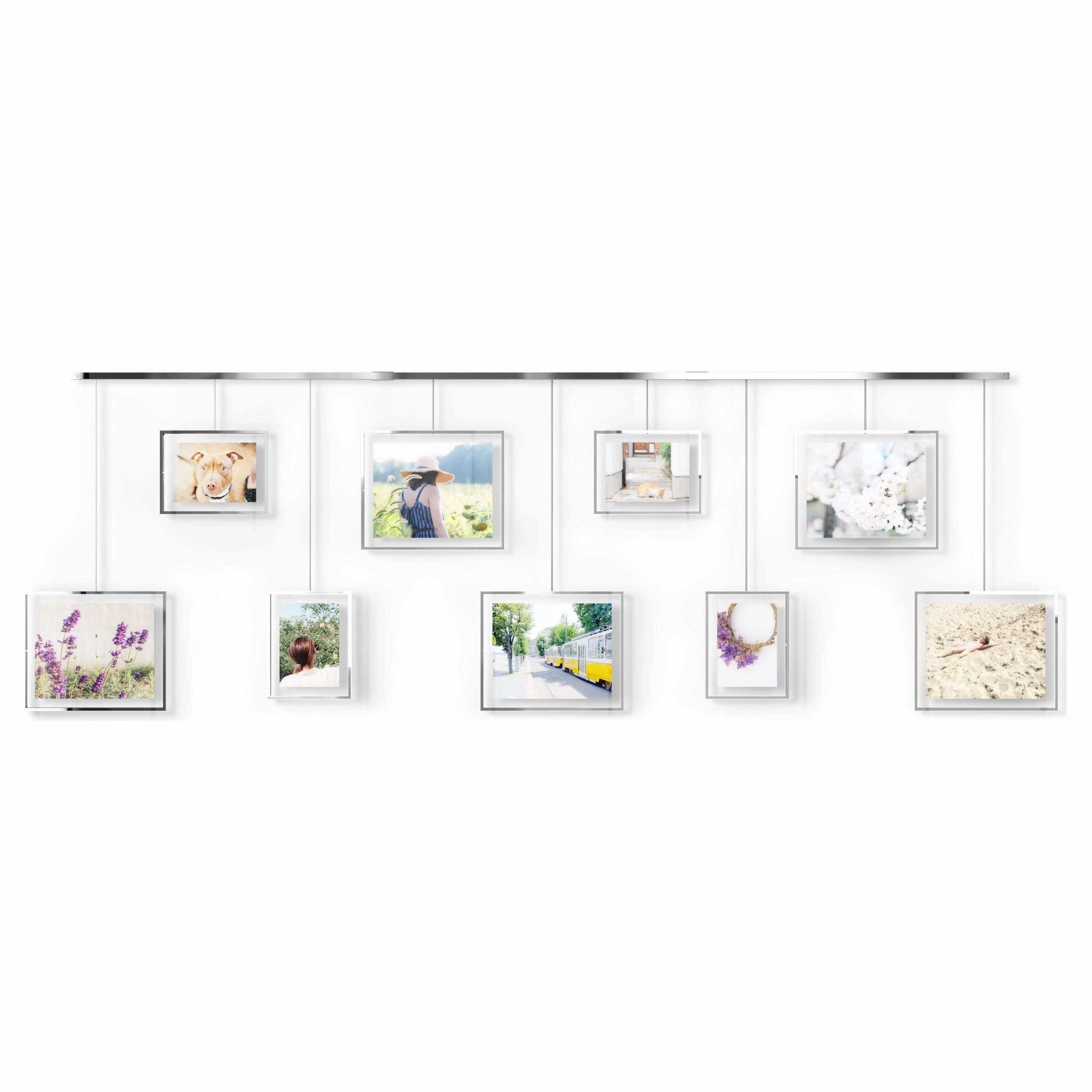 Exhibit Gallery Frames (Set of 9)