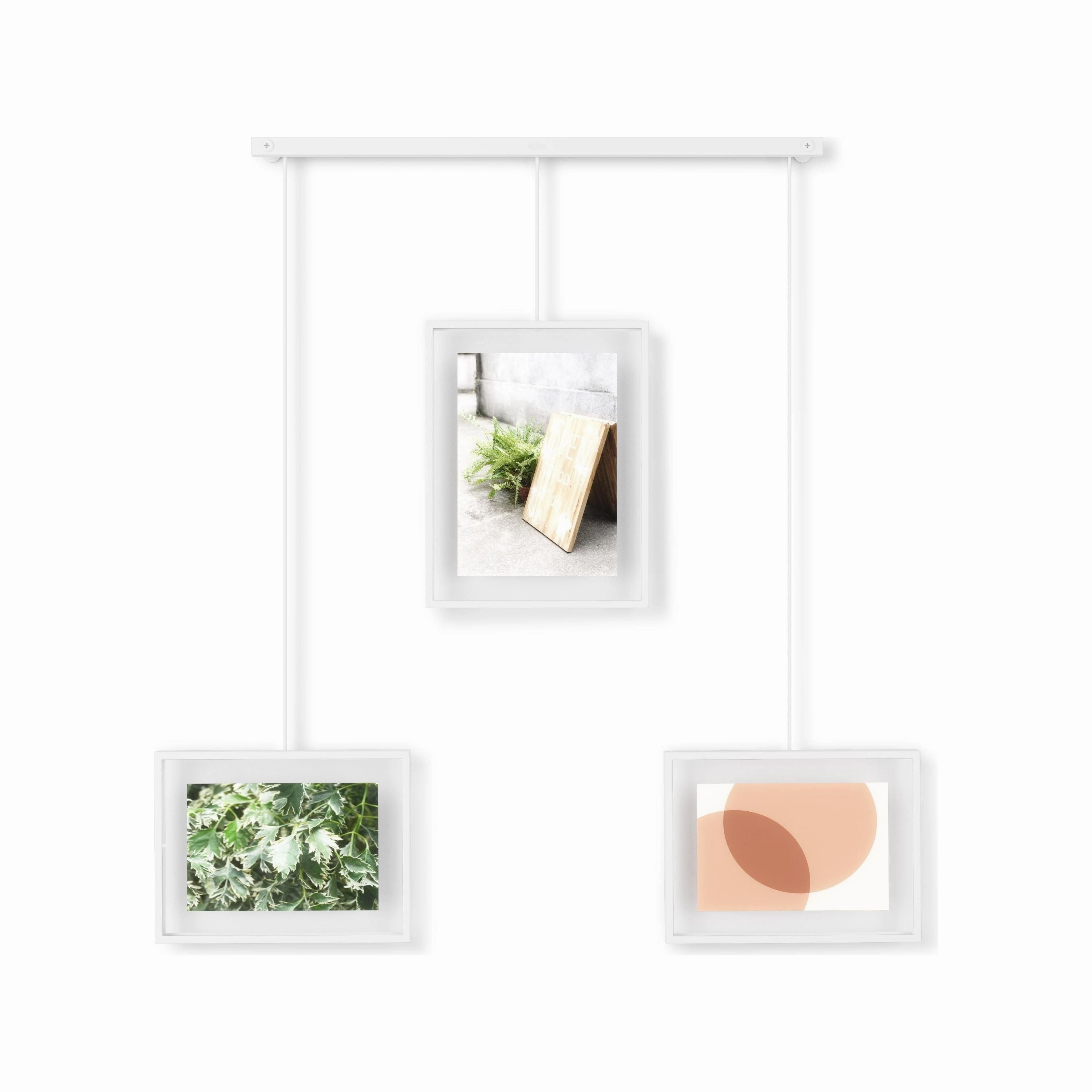 Exhibit Photo Frame