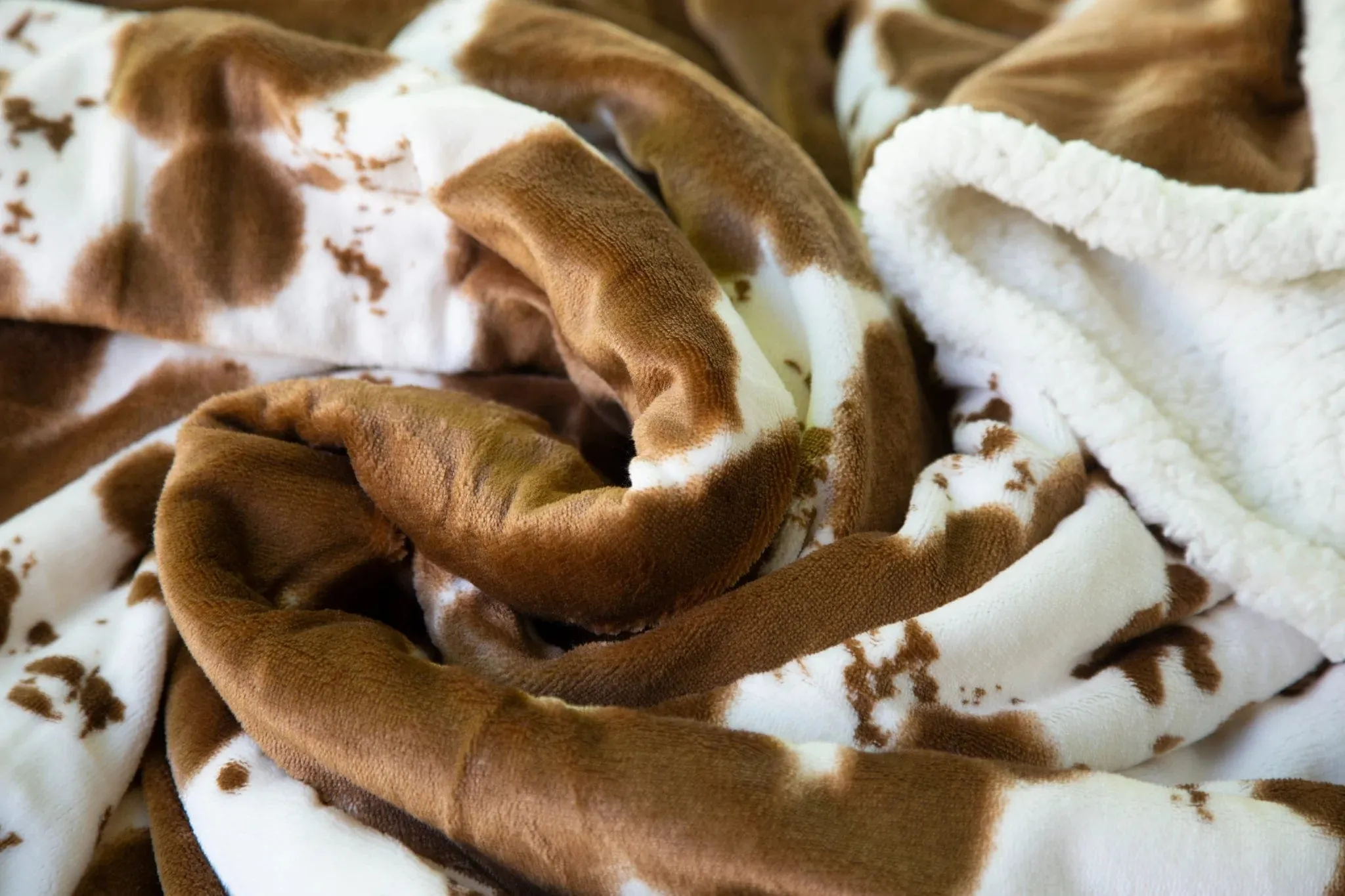 Faux Hair on Hide Sherpa Throw Blanket