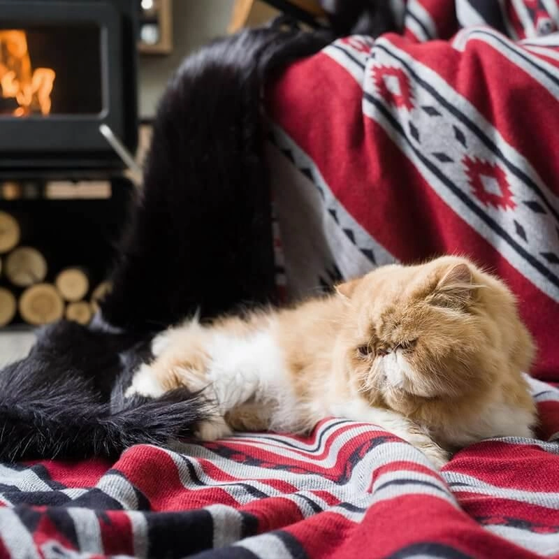 Faux Fur Aztec Blanket - 4 Colors