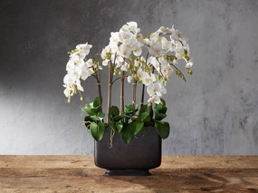 Faux Phalaenopsis in Wide Bronze Vase Home Decor & Accessories,decorative home accessories