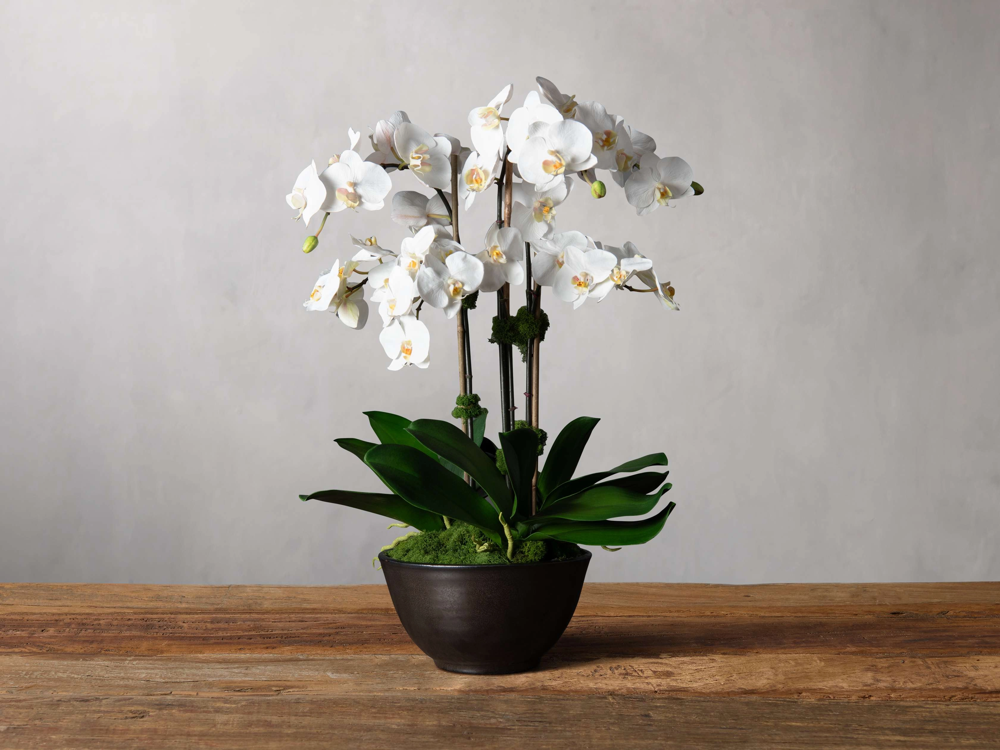 Faux White Orchids in Bronze Terracotta Bowl Home Decor & Accessories,decorative home accessories