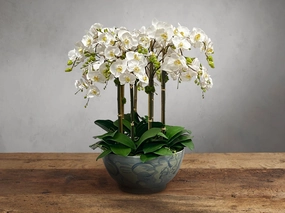 Faux White Orchids in Painted Bowl Home Decor & Accessories,decorative home accessories