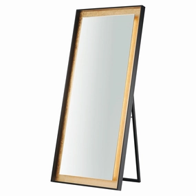 Floating 30" x 67" LED Standing Mirror Wall Decor,modern wall decor set