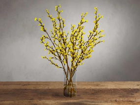 Forsythia in Glass Home Decor & Accessories,decorative home accessories