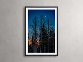 Golden Touch III Framed Print Wall Art,canvas wall art set