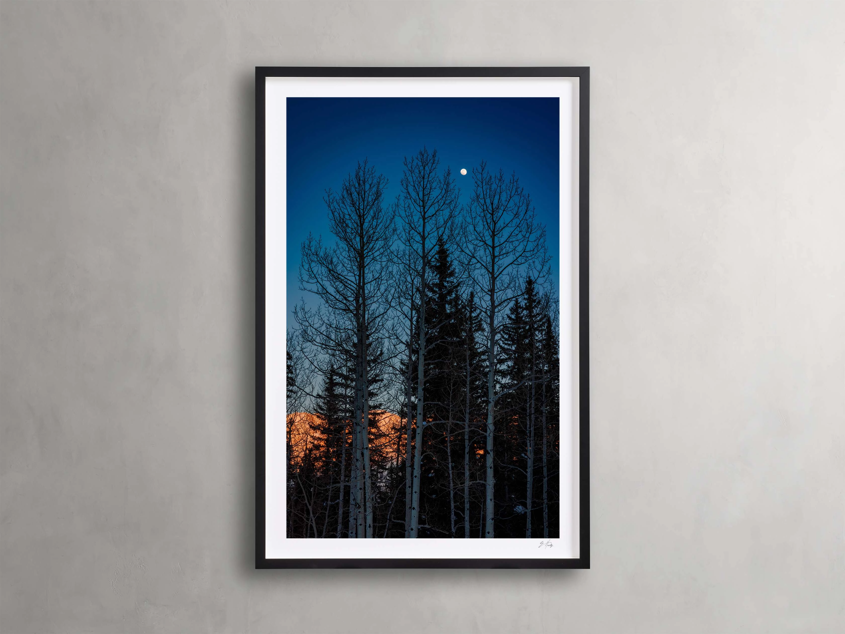 Golden Touch III Framed Print Wall Art,canvas wall art set