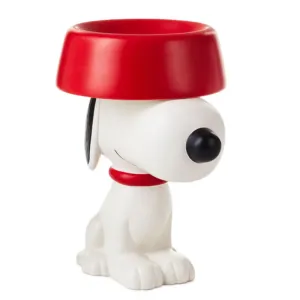 Hallmark Peanuts Snoopy with Dog Bowl Money Bank Decorative Mirror,Home Decor Mirror