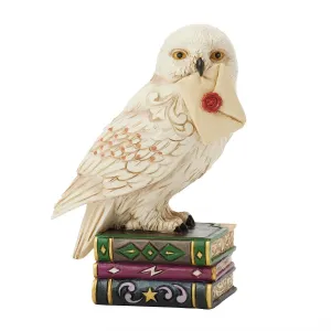 Harry Potter Jim Shore Hedwig on Book Stack Mini Figurine 3.54" Decorative Mirror,Home Decor Mirror