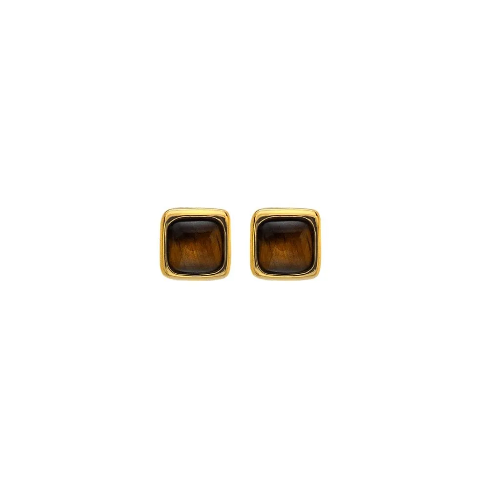 Hot Diamonds Jewellery Hot Diamonds Gold Plated Sterling Silver Tigers Eye Square Stud Earrings